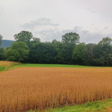 Agriturismo Munarin Caterina Mioglia المظهر الخارجي الصورة