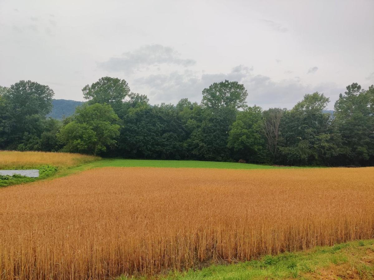 Agriturismo Munarin Caterina Mioglia المظهر الخارجي الصورة